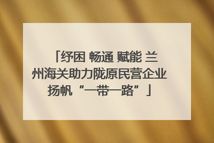 纾困 畅通 赋能 兰州海关助力陇原民营企业扬帆“一带一路”