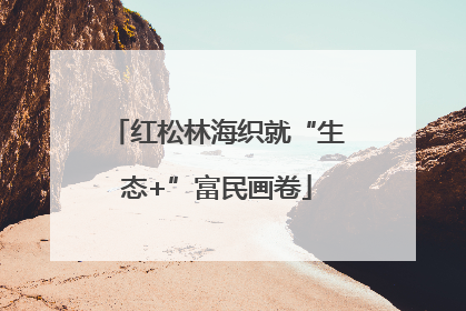 红松林海织就“生态+”富民画卷