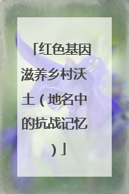 红色基因滋养乡村沃土（地名中的抗战记忆）