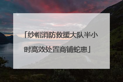 纱帽消防救援大队半小时高效处置商铺蛇患