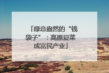 绿意盎然的“钱袋子”：高原夏菜成富民产业