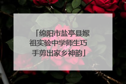 绵阳市盐亭县嫘祖实验中学师生巧手剪出家乡神韵