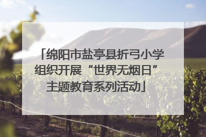 绵阳市盐亭县折弓小学组织开展“世界无烟日”主题教育系列活动