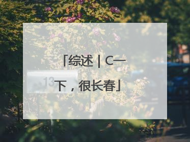 综述｜C一下，很长春