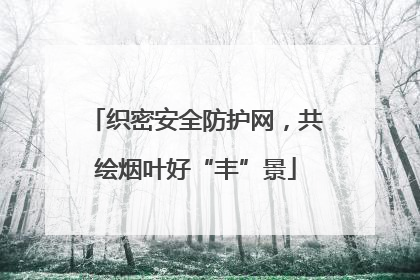 织密安全防护网，共绘烟叶好“丰”景