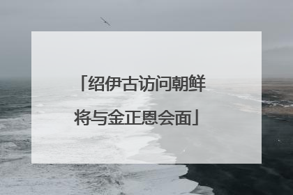 绍伊古访问朝鲜 将与金正恩会面