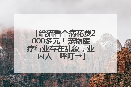 给猫看个病花费2000多元！宠物医疗行业存在乱象，业内人士呼吁→