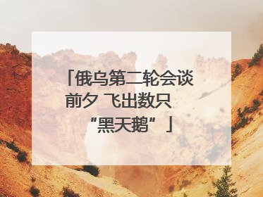 俄乌第二轮会谈前夕 飞出数只 “黑天鹅”