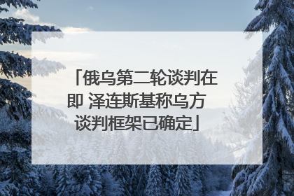 俄乌第二轮谈判在即 泽连斯基称乌方谈判框架已确定