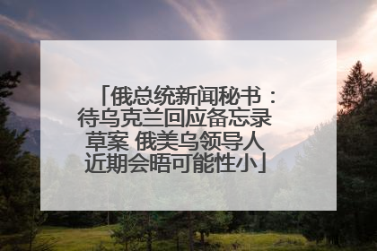 俄总统新闻秘书：待乌克兰回应备忘录草案 俄美乌领导人近期会晤可能性小