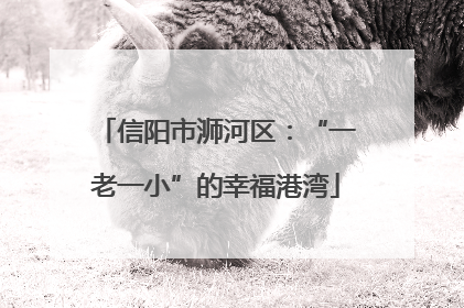信阳市浉河区：“一老一小”的幸福港湾