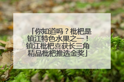 你知道吗？枇杷是镇江特色水果之一！镇江枇杷喜获长三角精品枇杷推选金奖