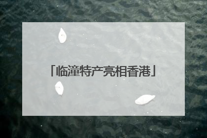 临潼特产亮相香港
