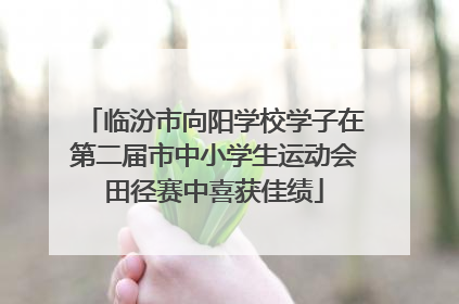 临汾市向阳学校学子在第二届市中小学生运动会田径赛中喜获佳绩