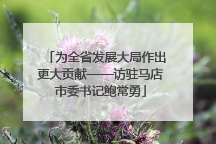 为全省发展大局作出更大贡献——访驻马店市委书记鲍常勇