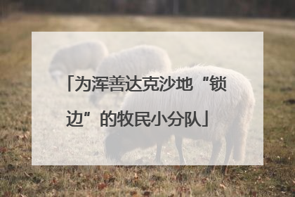为浑善达克沙地“锁边”的牧民小分队