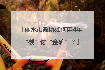 丽水市政协如何用4年“碳”讨“金矿”？