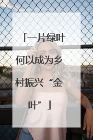 一片绿叶何以成为乡村振兴“金叶”