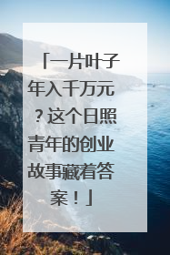一片叶子年入千万元？这个日照青年的创业故事藏着答案！