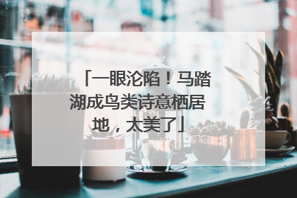 一眼沦陷！马踏湖成鸟类诗意栖居地，太美了