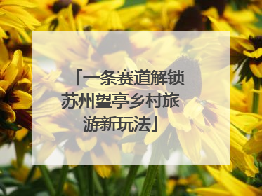 一条赛道解锁苏州望亭乡村旅游新玩法