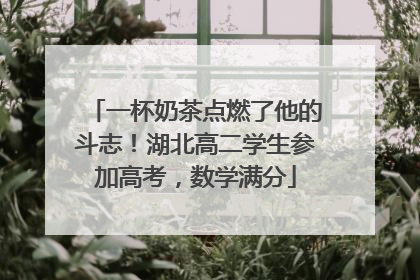 一杯奶茶点燃了他的斗志！湖北高二学生参加高考，数学满分