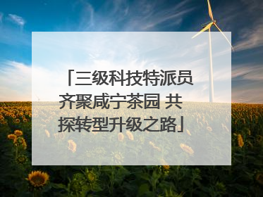 三级科技特派员齐聚咸宁茶园 共探转型升级之路