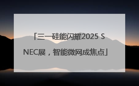 三一硅能闪耀2025 SNEC展，智能微网成焦点