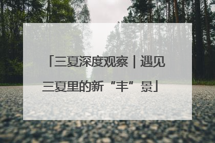 三夏深度观察｜遇见三夏里的新“丰”景