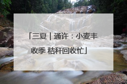 三夏｜通许：小麦丰收季 秸秆回收忙