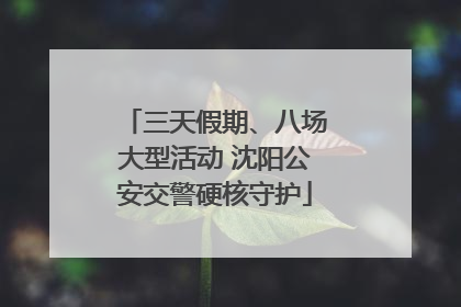 三天假期、八场大型活动 沈阳公安交警硬核守护
