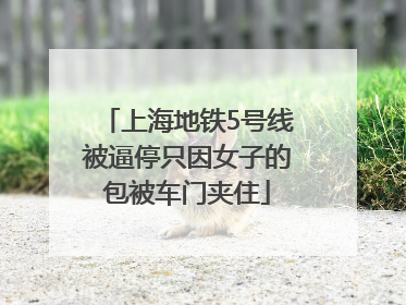 上海地铁5号线被逼停只因女子的包被车门夹住