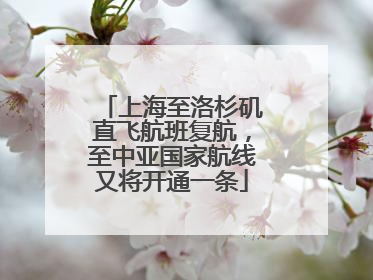 上海至洛杉矶直飞航班复航，至中亚国家航线又将开通一条