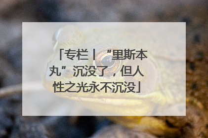 专栏丨“里斯本丸”沉没了，但人性之光永不沉没