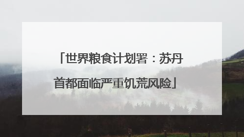 世界粮食计划署：苏丹首都面临严重饥荒风险