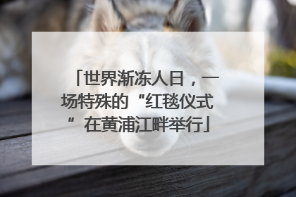 世界渐冻人日，一场特殊的“红毯仪式”在黄浦江畔举行