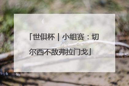 世俱杯｜小组赛：切尔西不敌弗拉门戈