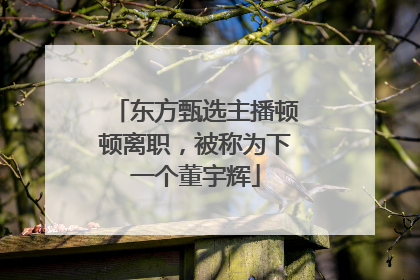 东方甄选主播顿顿离职，被称为下一个董宇辉