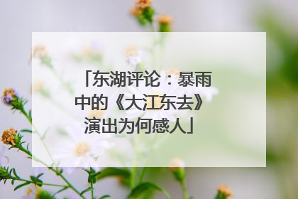 东湖评论：暴雨中的《大江东去》演出为何感人