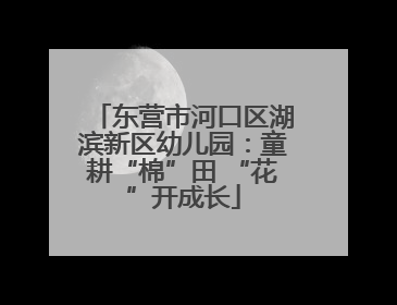 东营市河口区湖滨新区幼儿园：童耕“棉”田 “花”开成长