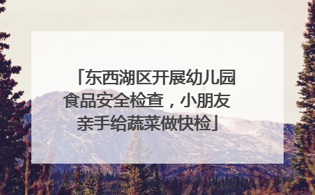 东西湖区开展幼儿园食品安全检查，小朋友亲手给蔬菜做快检