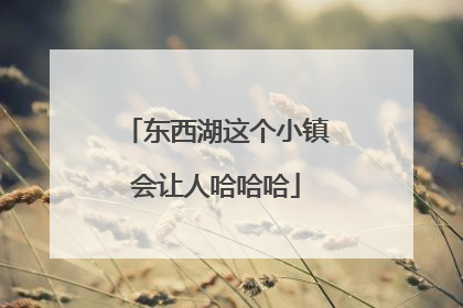 东西湖这个小镇会让人哈哈哈
