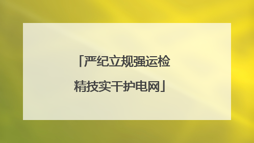 严纪立规强运检 精技实干护电网