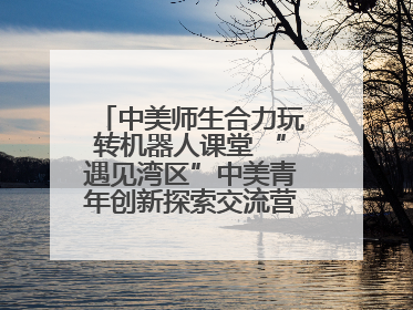 中美师生合力玩转机器人课堂 “遇见湾区”中美青年创新探索交流营在深圳开营