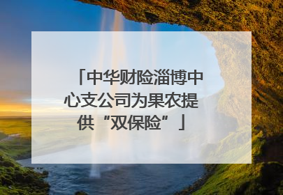 中华财险淄博中心支公司为果农提供“双保险”