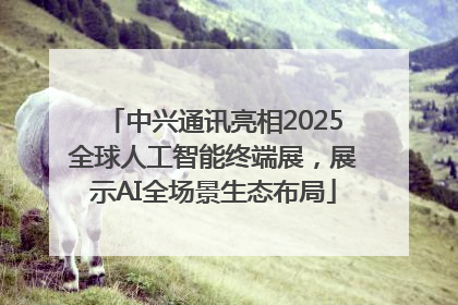 中兴通讯亮相2025全球人工智能终端展，展示AI全场景生态布局