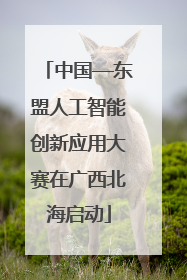 中国—东盟人工智能创新应用大赛在广西北海启动