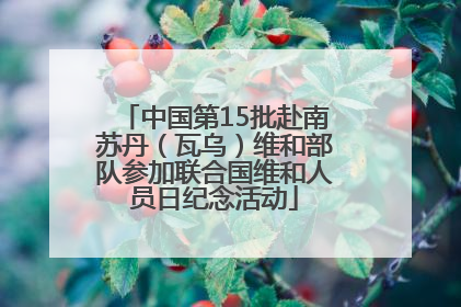 中国第15批赴南苏丹（瓦乌）维和部队参加联合国维和人员日纪念活动