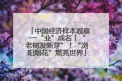 中国经济样本观察·一“业”成名丨“老树发新芽”！“浏阳烟花”燃亮世界
