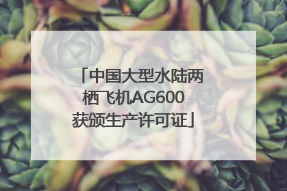 中国大型水陆两栖飞机AG600获颁生产许可证